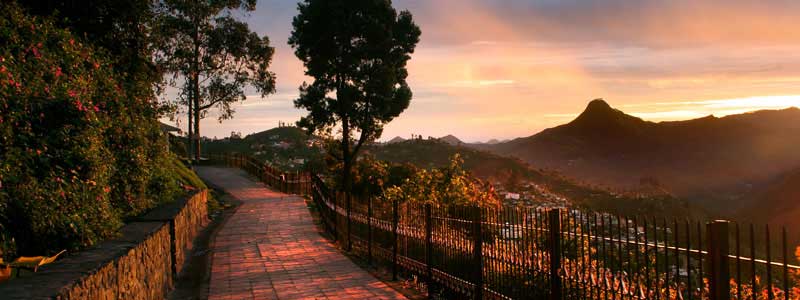 Coakers Walk, Kodaikanal Tourist Attraction