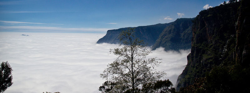 Kodai Resort Hotel Packages Kodai Resort Hotel Packages